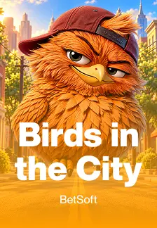 Birds in the City